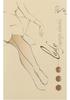 Cotton Women's Tights Gatta Lady