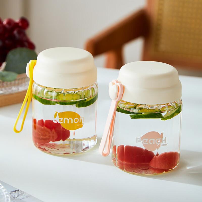 Bouteille d'eau portable en verre borosilicaté avec couvercle et poignée en corde