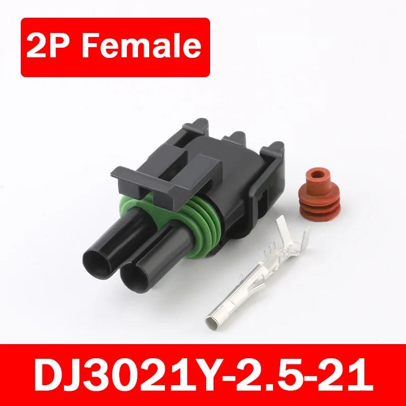 5/20/100Sets Delphi 2.5 Series GM Automobile 1/2/3/4/6Pin Waterproof Male&Female Connector Plug 12010975 DJ302/3/4/61Y-2.5-11/21