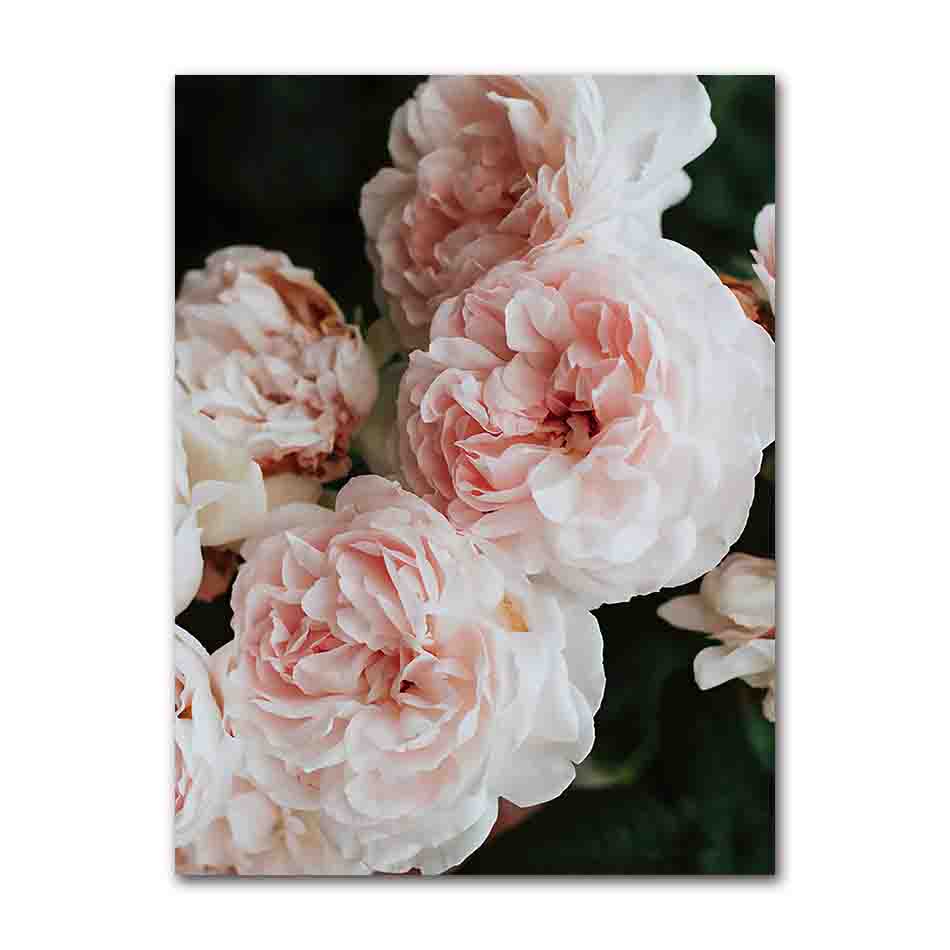 Skandinavisches rosa weißes Blumen-Blatt-Pflanzen-Poster, nordischer botanischer Druck, Leinwand-Malerei, Wandkunst, Dekoration, Bild, Heimdekoration