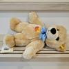 [USED] Steiff 019357 Molly Teddy Bear