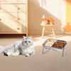 Elevated Stainless Steel Cat Bowls for Food and Water,Stable,Anti Slip Easy To Supplies Pet Bowl