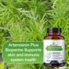 Integratore Estratti Vegetali, Bioperina, 120 Capsule Vegetali Per Flacone