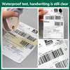 4x6 Zoll Thermodirektetiketten, 500/100 Etiketten pro Stapel, stark haftend, beständig, wasserfest, für Versandetiketten, 100x150 mm