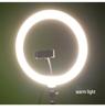 Portable Ring Light Stand with Large Aperture for Beauty and Streaming