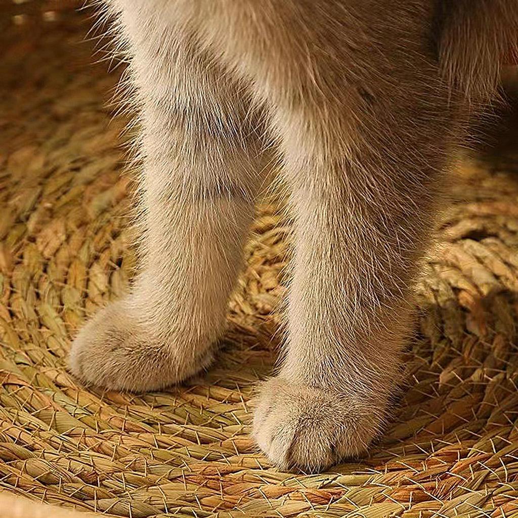 Detachable Cat Nest Handmade Vine Woven Cat Basket Bed All Season Indoor Washable Pet Cats Sleep Bed Nest Cat Scratching Board