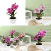 Artificial Phalaenopsis Flower Decor With Plastic And Silk Materials For Indoor Garden And Photography Props