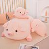 Cute Piggy Doll Pillow - Super Soft Plush Toy for Side Sleeping Girls and Boys, Birthday Gift