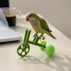 Parrot Training Bicycle, Funny Parrot Bike Training Toy, Creative Green Parrot Training Bike for Birds Intelligent Development