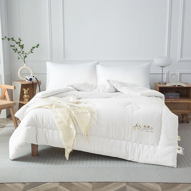 Topciy All-Season Soft Cotton Quilt
