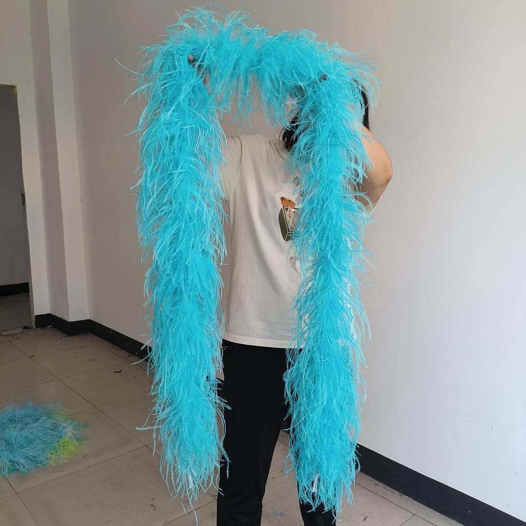 DIY 6PLY Natural Ostrich Feather Boa for Sewing Costume Embroidery 0.5/1/2/3/4M Length Wedding Carnival Dress Decoration Craft