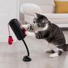 Gatos – Brinquedos para gatos