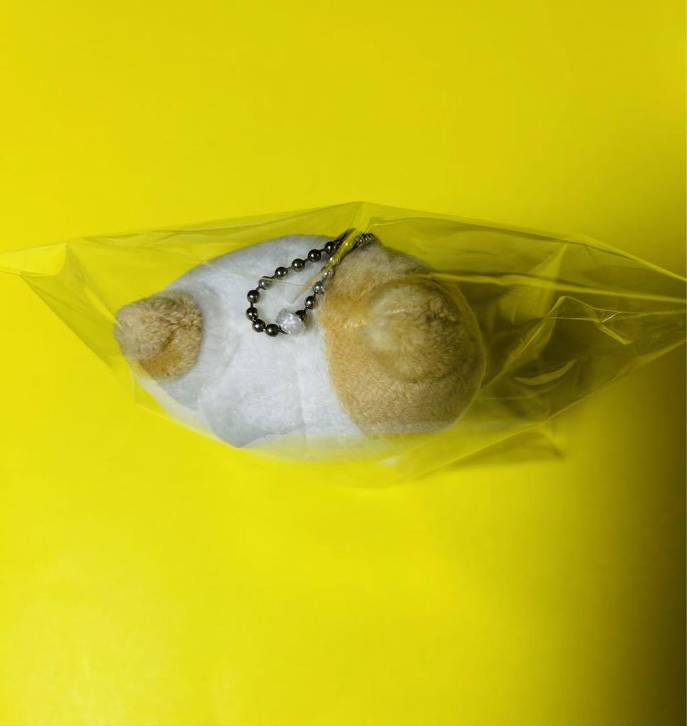 [USED] NCT127 Jaehyun 10cm Plush Toy Masternim Master