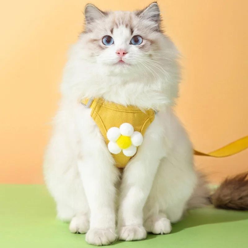 Cats Collar Dog Products Puppy Harness Tactical Vest Chest Leash Accessories Pet Supplies Small Dogs Collars Things Pets Product