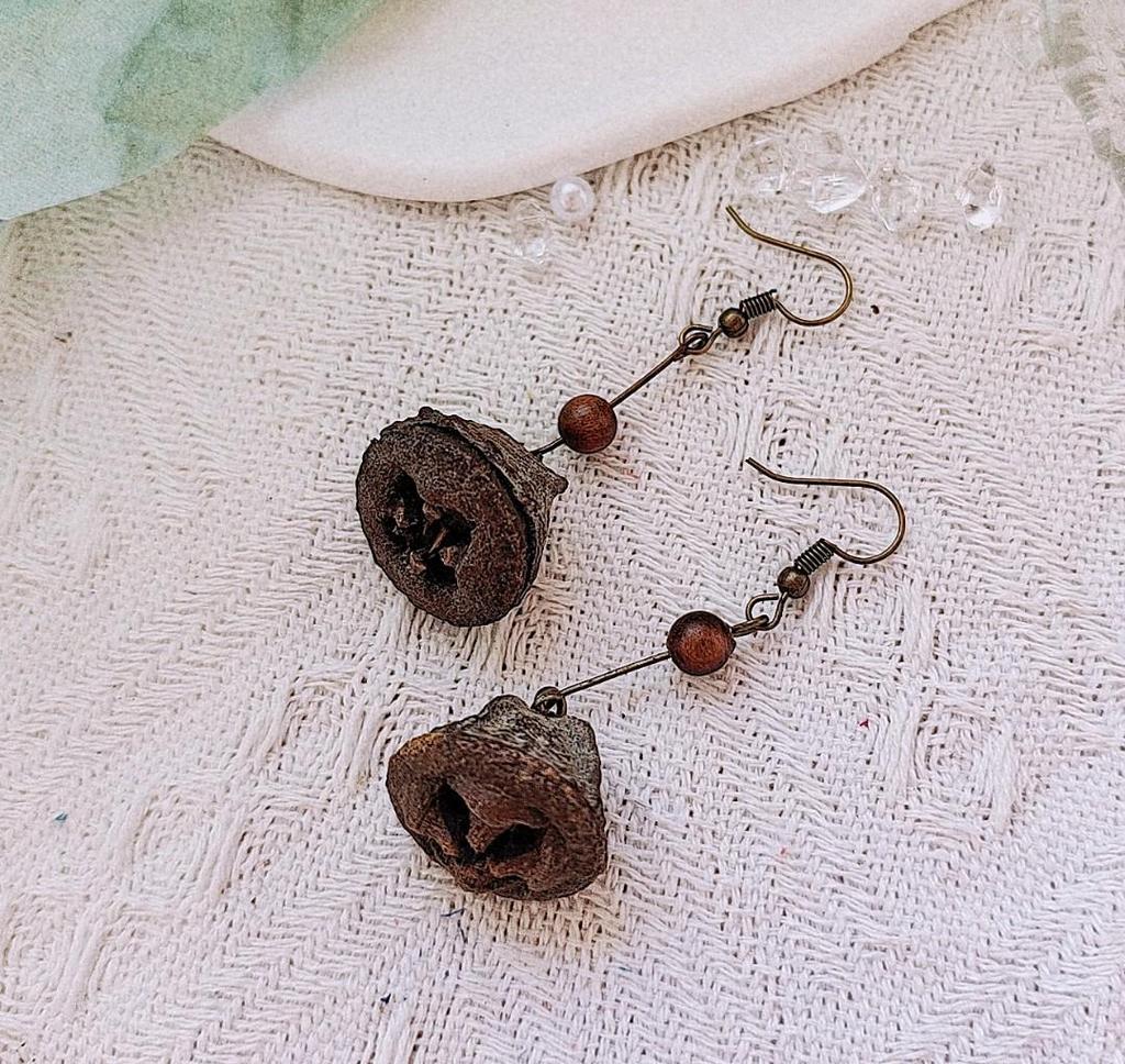 Zapfen Eichel Handgefertigt Echte Pflanze Ohrstecker, Umwandelbar in Ohrclips