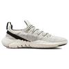 Nike Free Run 5.0 Phantom Sail CZ1884-010