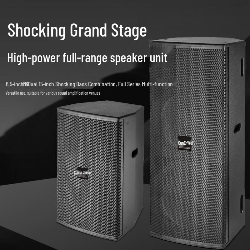 XunErWei Professional Audio Speaker Systems (CN Version)