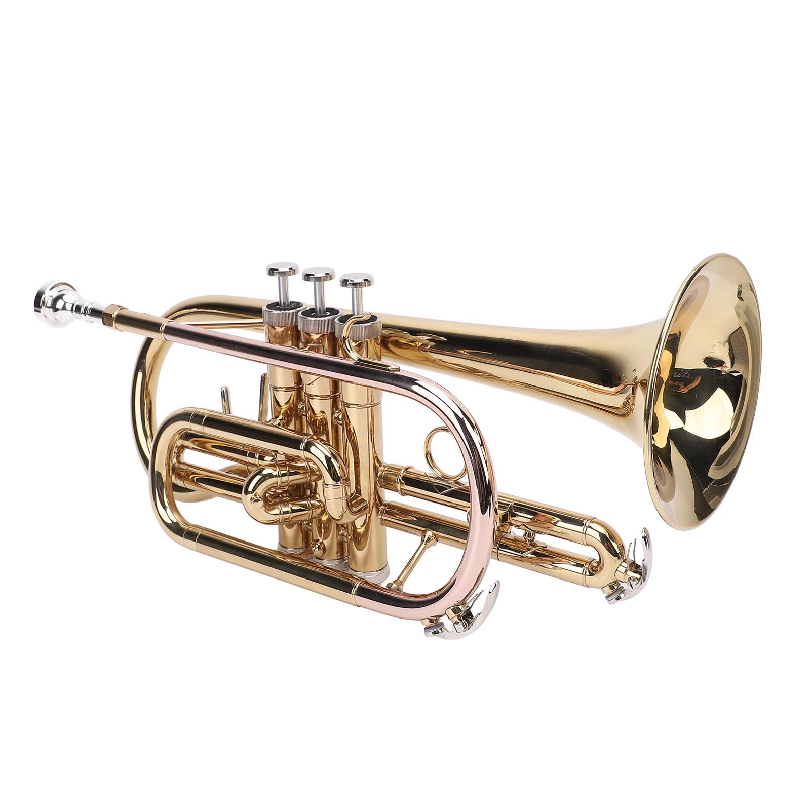 

Bb Trumpet Set Gold Trumpet Orchestral Instrument with Box for Beginners Professionals