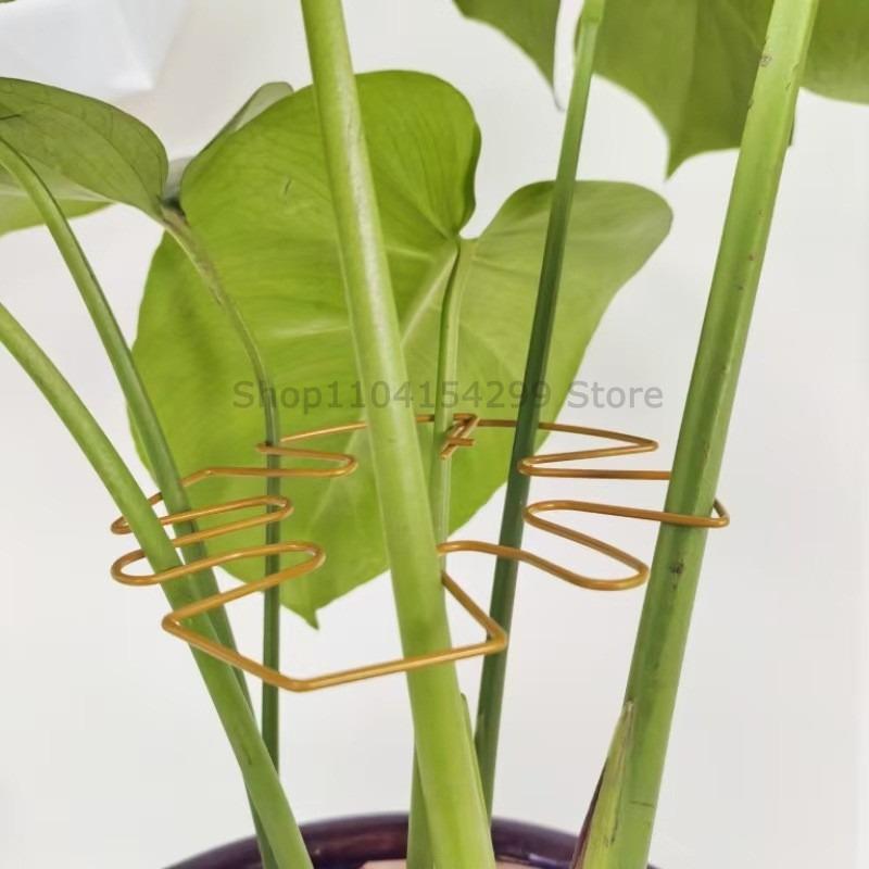Plant Support Adjustable Metal Plant Support Climbing Stem Holder Monstera Stabilizergardening Tools and Planting Supplies