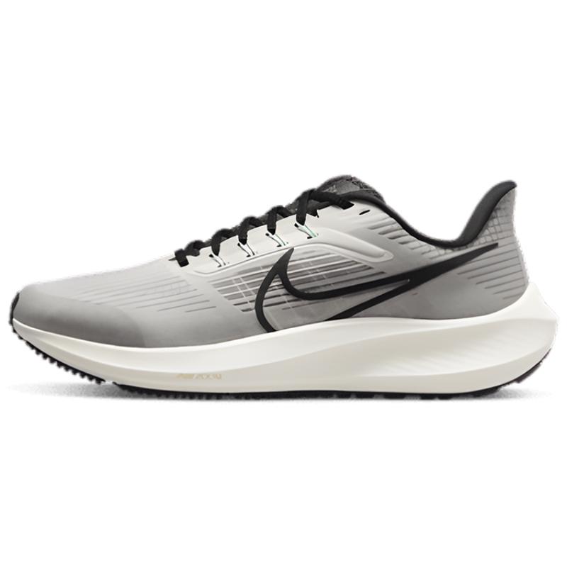 Nike Air Zoom Pegasus 39 'Grey Sail' Sneakers DH4071-004