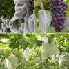 Drawstring Laundry Bag, Non-woven Fruit Bag, Grape Bag, Bird, Insect, and Waterproof Special Fruit Bag, Seedling thickened Bag