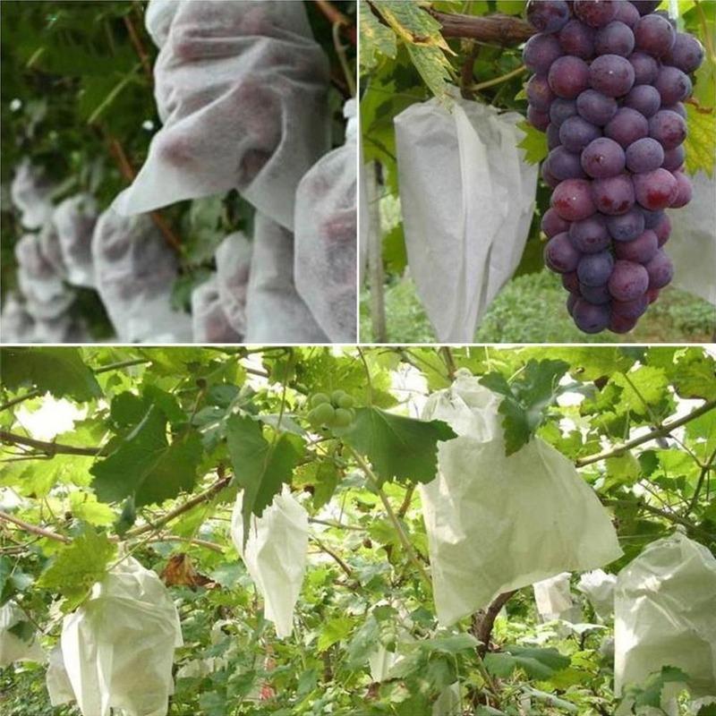 Drawstring Laundry Bag, Non-woven Fruit Bag, Grape Bag, Bird, Insect, and Waterproof Special Fruit Bag, Seedling thickened Bag