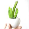 Flower Artificial Plant Succulent Potted Fridge Magnets Board Stickers Note Holder Message Sticker