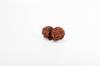Natural Gauri Shankar Rudraksha Bead – Nepali Origin | Bead for Harmony, Unity, Relationship Balance & Emotional Healing | Organic & Lab Certified