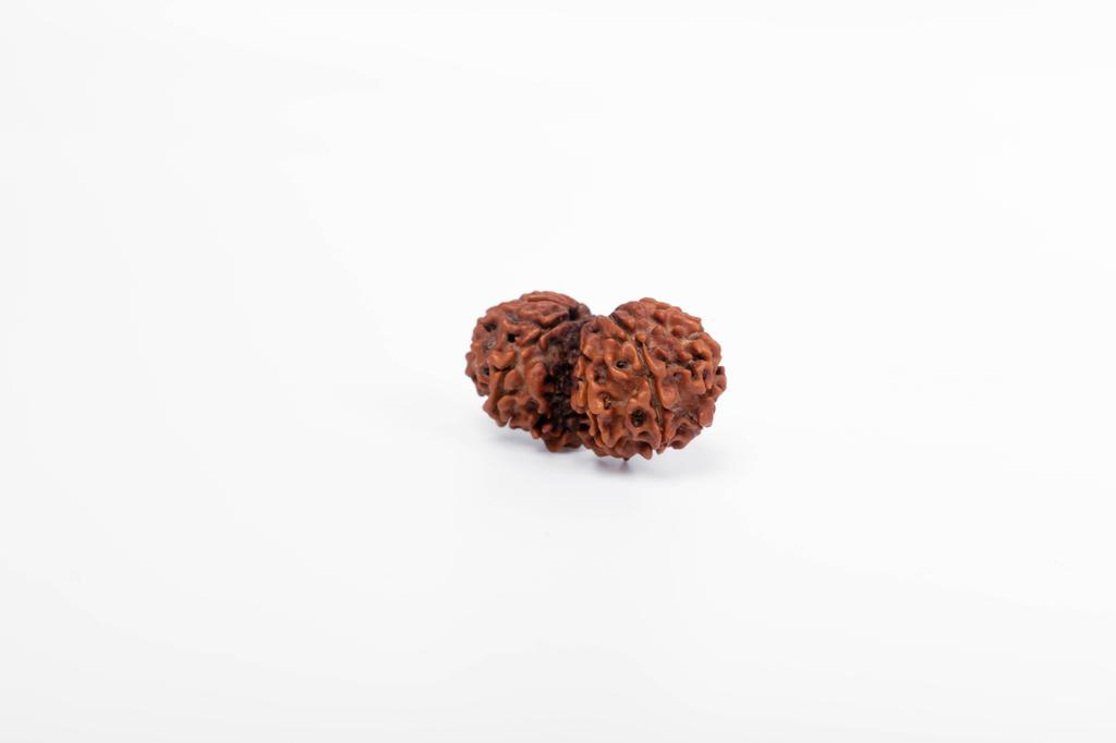 Natural Gauri Shankar Rudraksha Bead – Nepali Origin | Bead for Harmony, Unity, Relationship Balance & Emotional Healing | Organic & Lab Certified