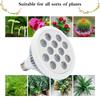 Full Spectrum LED Grow Light E27, 21W/36W for Indoor Plants