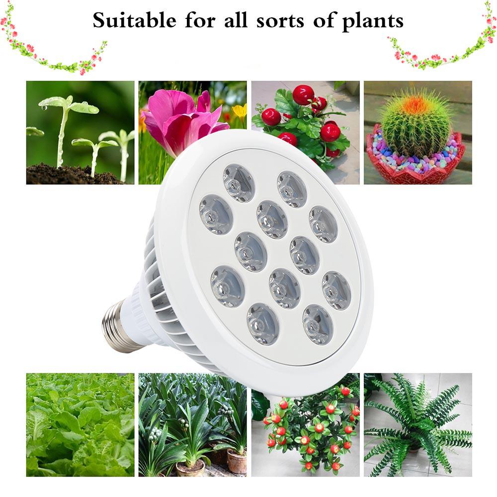 Full Spectrum LED Grow Light E27, 21W/36W for Indoor Plants