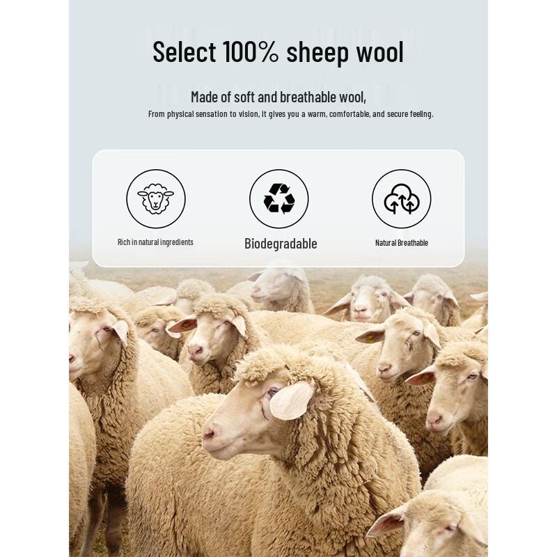 Mushi Lang Men's 100% Pure Wool Heavyweight Crew Neck Pullover Sweater