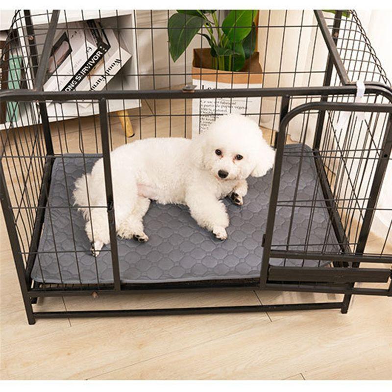 M-Modern-Reusable Blanket For Dog Urine Pad Absorbent Diapers Can Be Washed. Pet Bed Diaper