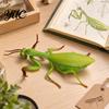 Decompression Insect Squishy Toy Realistic Toy, Stretchy Stress Relief Fidget Snail Bat TPR Material Squeeze Tools Locust Mantis Fly Mole Cricket