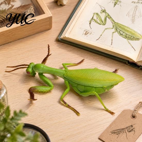 Decompression Insect Squishy Toy Realistic Toy, Stretchy Stress Relief Fidget Snail Bat TPR Material Squeeze Tools Locust Mantis Fly Mole Cricket