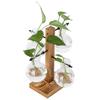 Innovative Hydroponic Vase with Wooden Stand Transparent Desktop Flower Vase for Home
