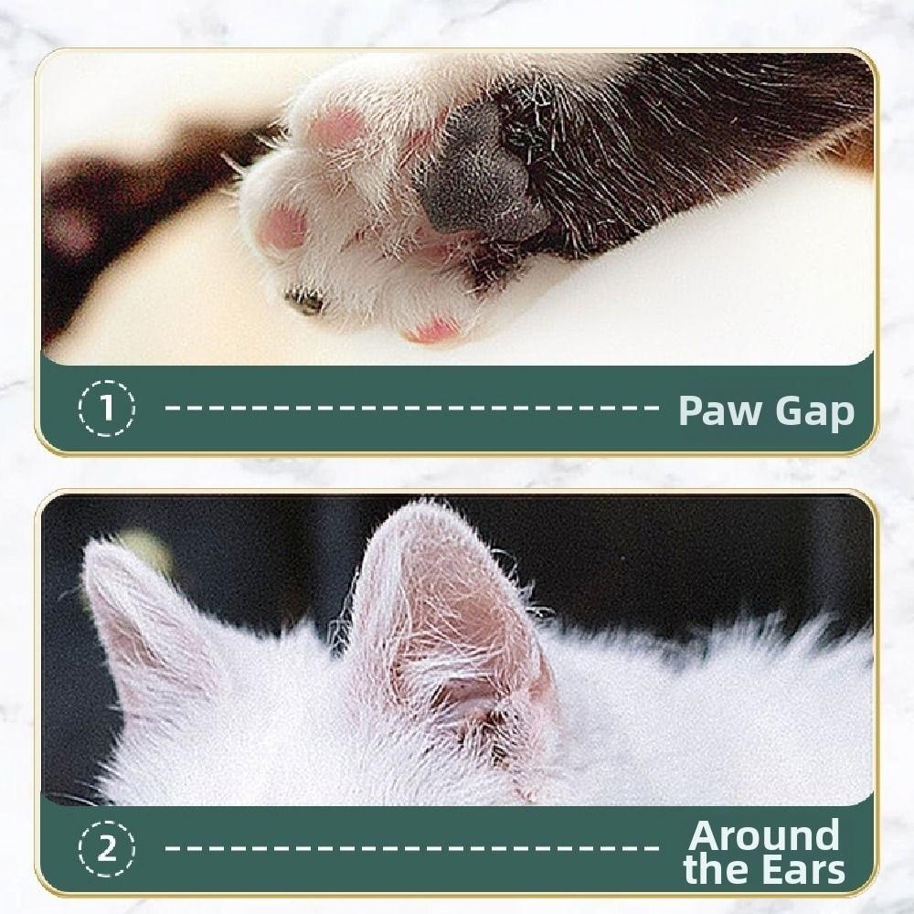 Portable Pet Electric Hair Trimmer Cordless Pet Foot Trimmer Pet Paw Hair Clipper  Dog Accessories