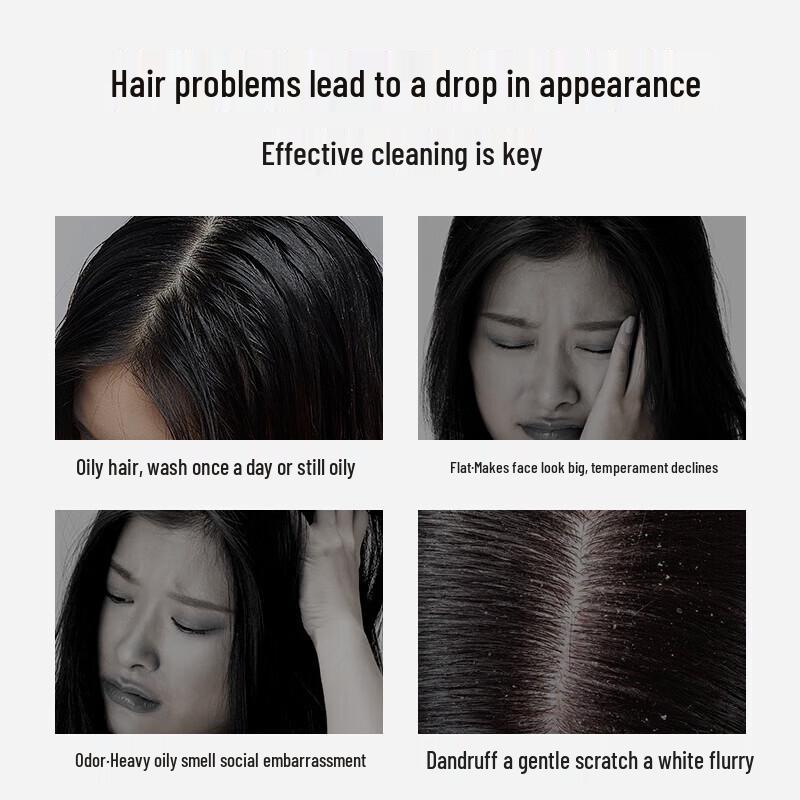 Japanese Style Silicone-Free Shampoo 2-Pack