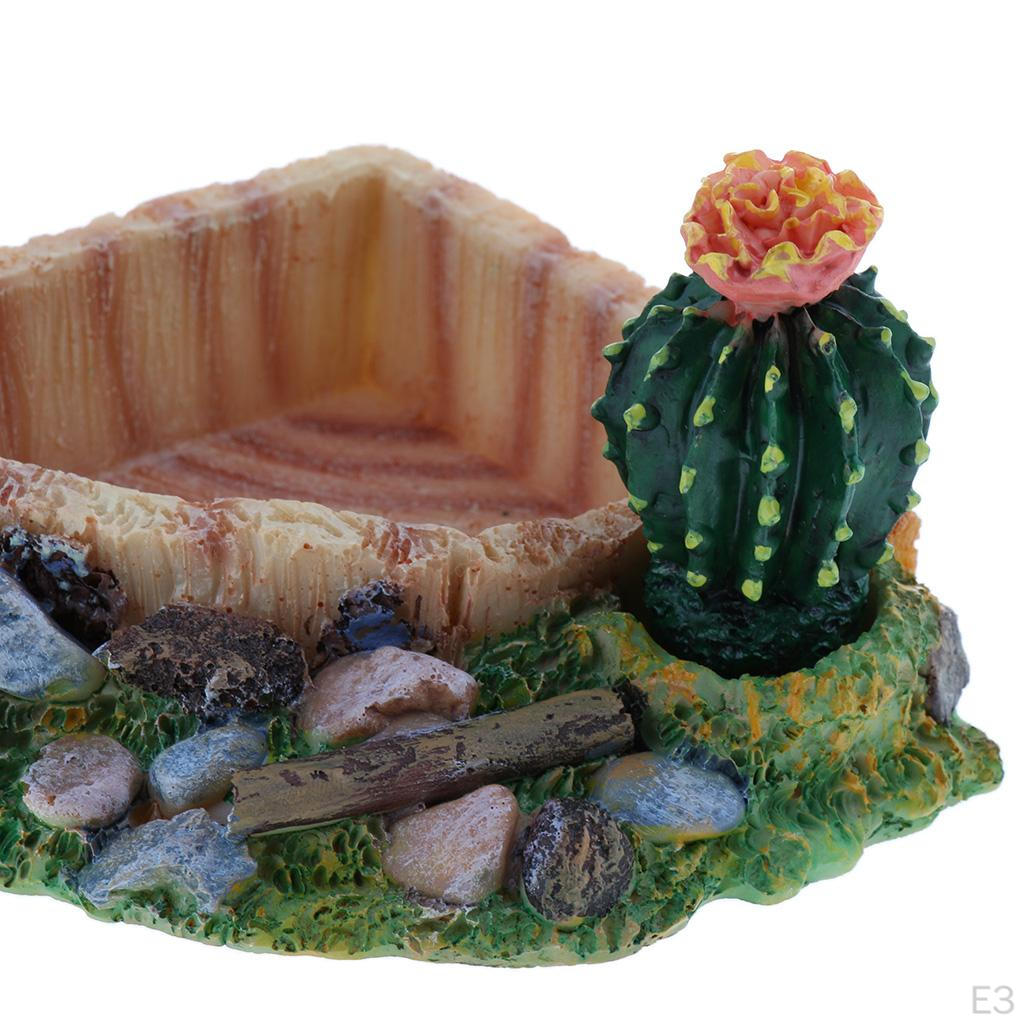 Food Dish Water Bowl Feeder Basin for Amphibians