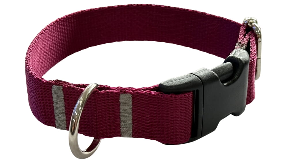 Dog Collar 2.5 cm with buckle Adjustable Burgundy Fasten Dog Collar 2.5 cm with buckle Adjustable Burgundy Fasten M: 30-45cm