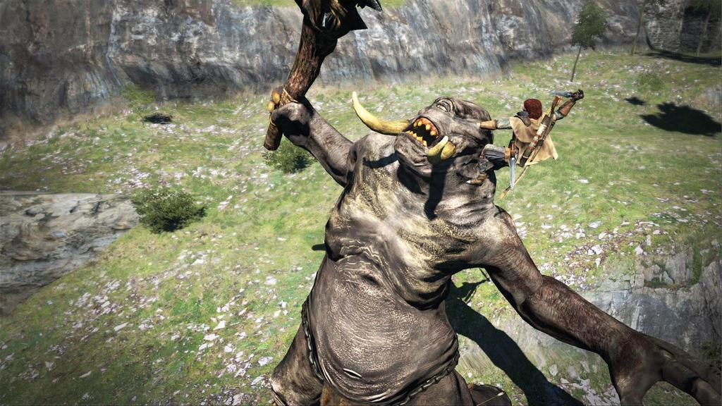 Dark Arisen Dragon's Dogma -Switch