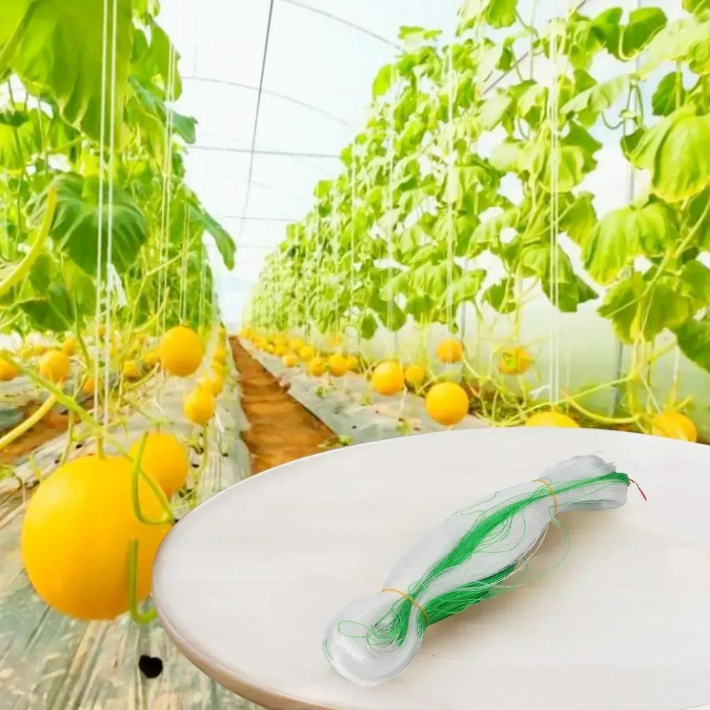 1 X Support Net Garden Plant Fruit Trellis Support Net Plants Climbing Frame Support For Pea 2M X 100M For Climbing Plants