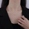 2024 Silver Minimalist Titanium Necklace - Women's Non-Fading Clavicle Chain for Spring/Summer