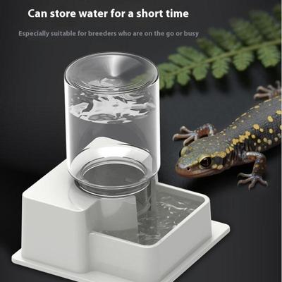 Bebedouro Automático para Répteis com Garrafa para Tartaruga, Lagarto, Anti Afogamento, Dispensa Água, Suprimentos para Animais de Estimação
