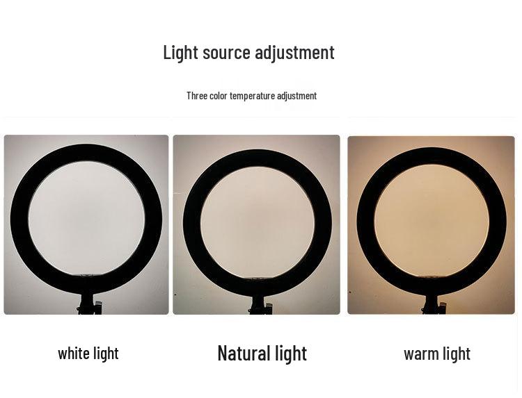 Professional Telescopic Phone Stand with Fill Light for Live Streaming and Overhead Shooting