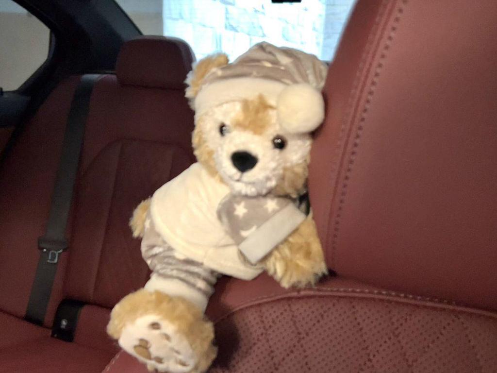 Charming Car Ornaments: Plush Passenger Seat Toys & Decorations for Women, Perfect for Tesla.