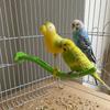 Plastic Swing Perch Toy Simulation Bird Parrot Play Rack Bird Perch Stand  for Bird Cage Aviary