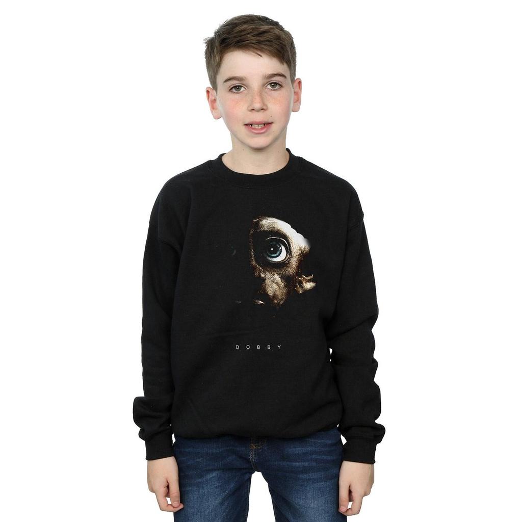Harry Potter Boys Dobby Portrait Sweatshirt