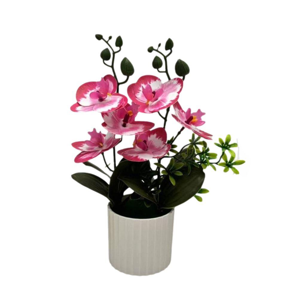 Multicolor Moth Orchid Artificial Flower Accessories Plastic Simulation Bonsai Green Leaves White Flowerpot