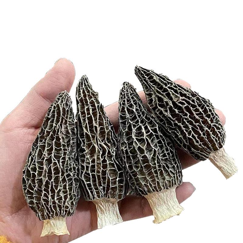 First Flush Dried Morel Mushrooms (5-8cm), Yunnan Origin - New Stock, Douyin Style.